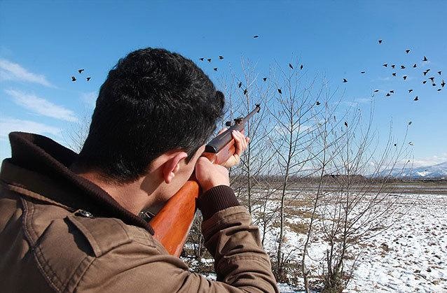 ۱۹ پاسگاه دائمی و دو پاسگاه فصلی محیطبانی در گیلان برای مقابله با شکار غیرمجاز پرندگان مهاجر تجهیز شدند